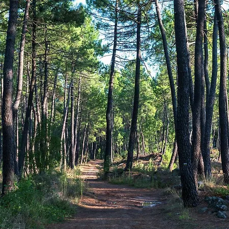 아파트 Ardeche Payzac (Ardeche)